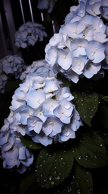 a white flower with a green stem