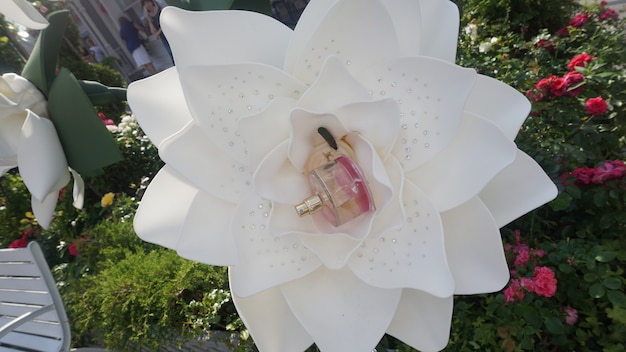 Photo white flower with a perfume inside