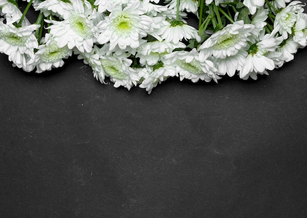 White flowers on a black background. 