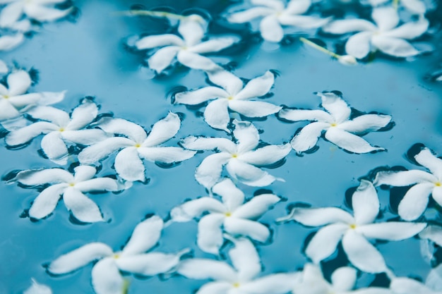 青い水のクローズ アップに白い花
