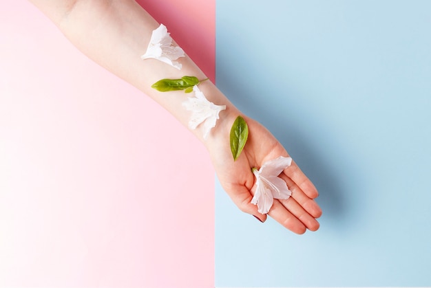 White flowers on female hand, pink and blue background, copy space