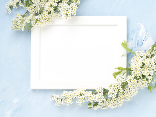 White flowers over the frame on blue concrete background. 