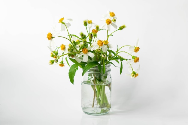 White flowers in a glass bottle