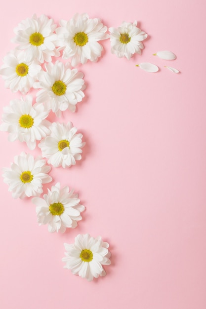 White flowers on light pink background