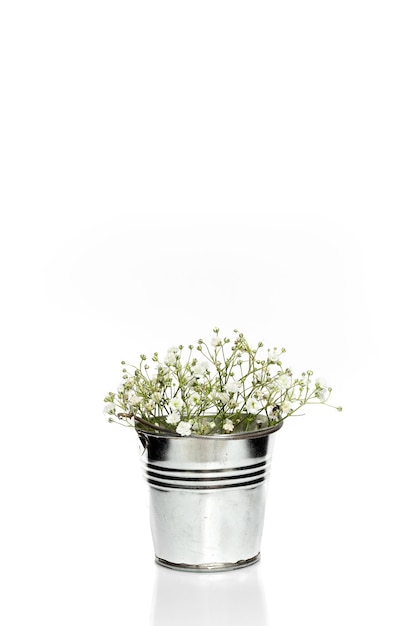 White flowers in a metal bucket.