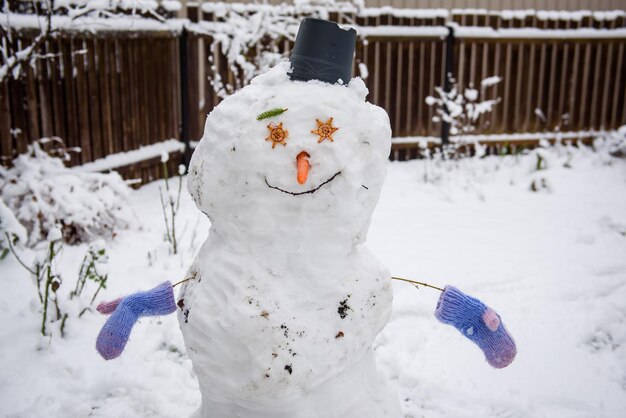 写真 雪に覆われた土地の白い花