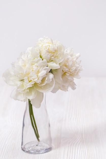 White flowers peonies in glass vase. Still life. Concept of mother, wooden, Valentines day.