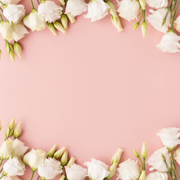 White flowers on pink background