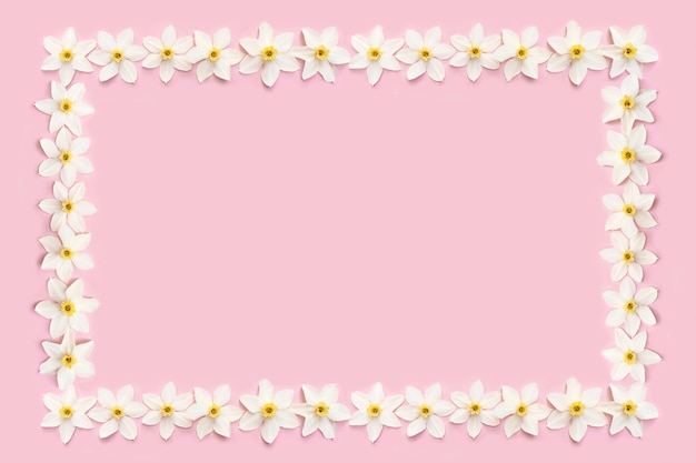 White flowers on a pink surface. Daffodils in a postcard frame.