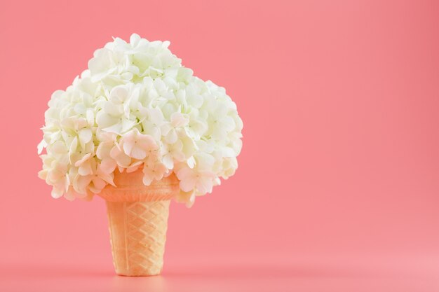 Fiori bianchi in un cono di cialda di gelato su una parete rosa.