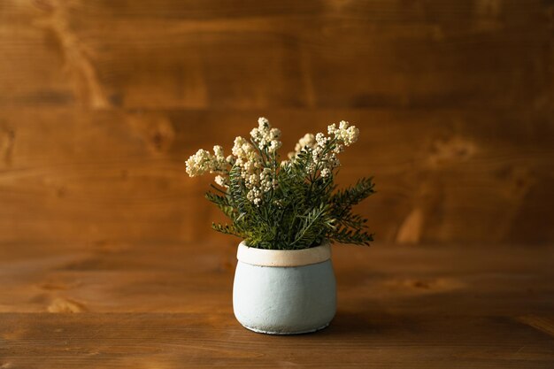 White flowers on wooden table