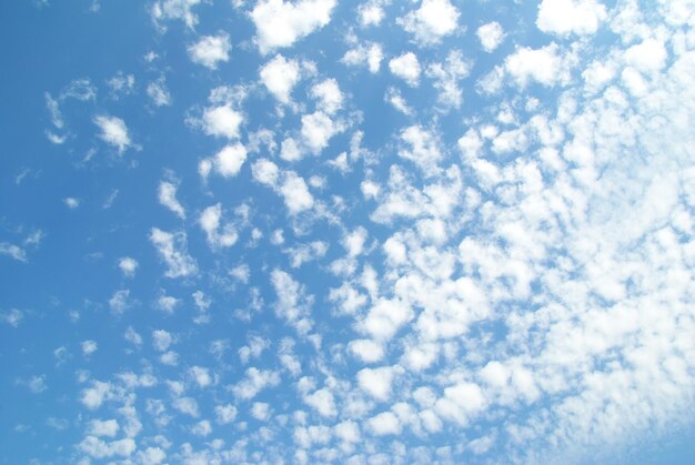 White fluffy clouds in the blue sky