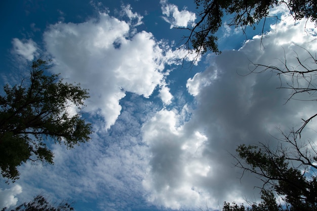 夏の日の青い空の晴れた日の白いふわふわの雲