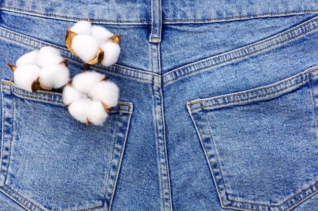 Photo white fluffy cotton flower in blue jeans pocket