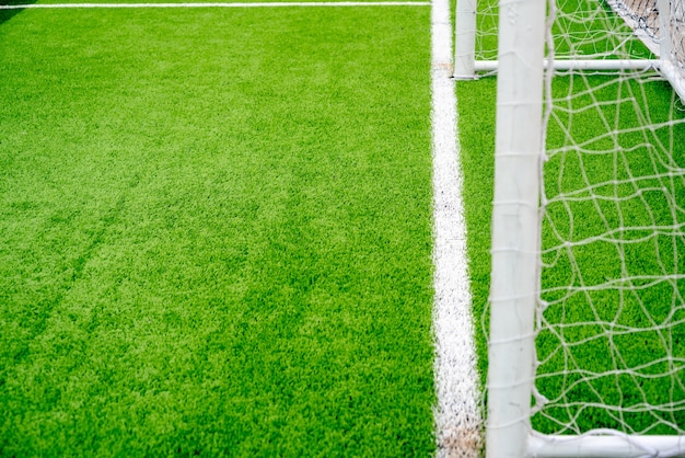 White football net and Green grass used for football matches