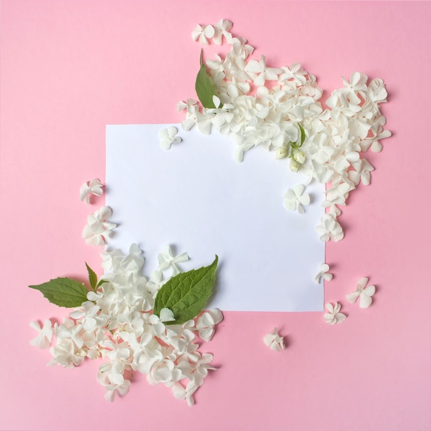 Photo white frame blank, petals for spa or wedding mockup on pink back top view. tender flower border