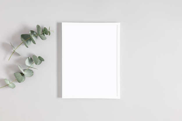 White frame mockup and eucalyptus on gray background