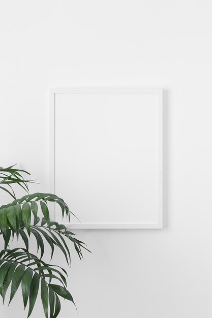 White frame mockup on the wall with a palm plant