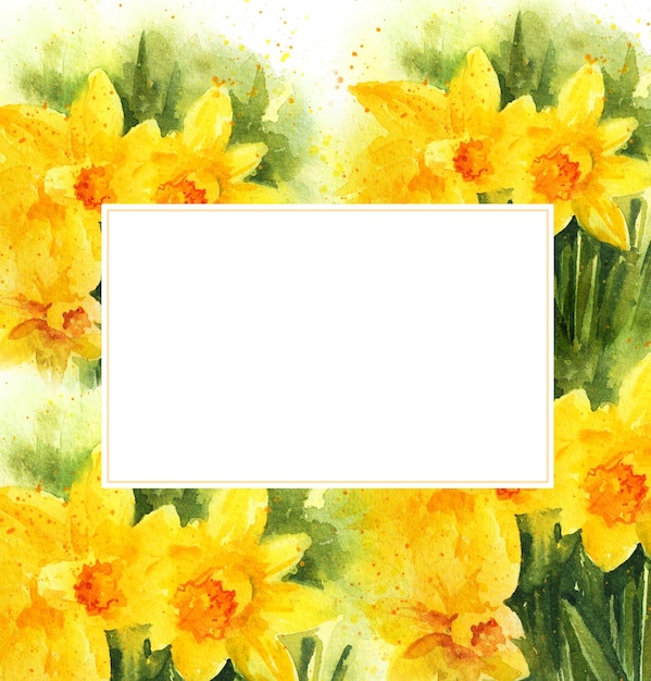 Photo white frame on watercolour background with spring yellow narcissus hand drawn illustration