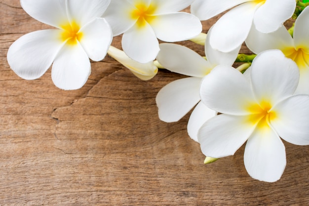 Foto i fiori bianchi del frangipane sono disposti sui bordi di legno.