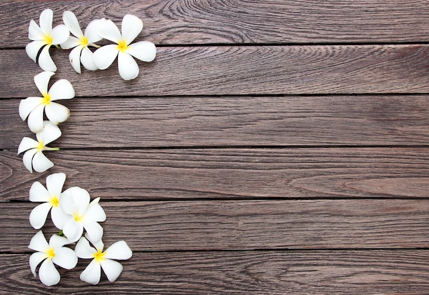 White frangipapi flower on wood table with copy space for background.