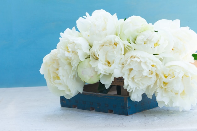 青い背景に白い新鮮なbloomig牡丹の花