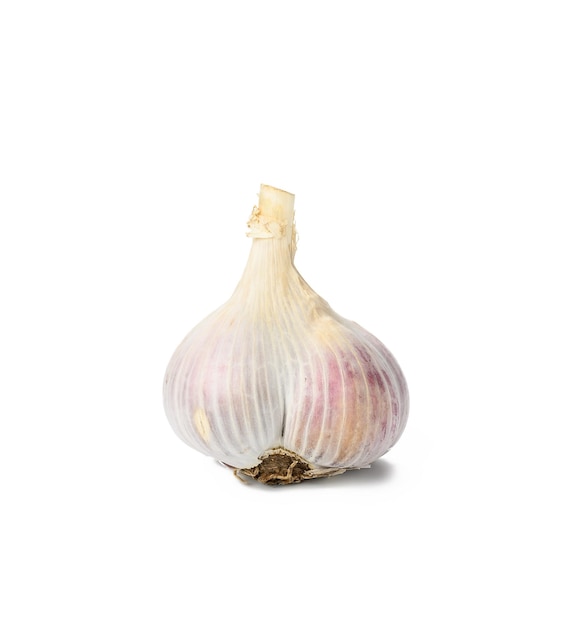 White fresh garlic head isolated on a white background, healthy spice