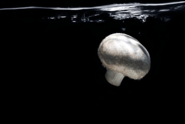 White fresh mushroom dropped into water