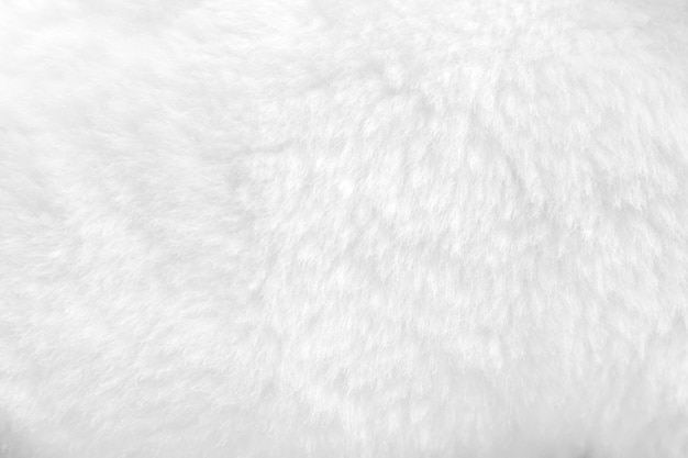 White fur background close up view