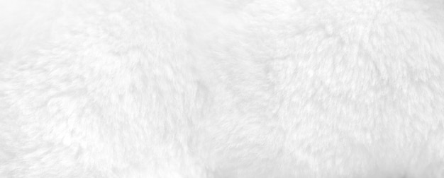 Photo white fur background close up view