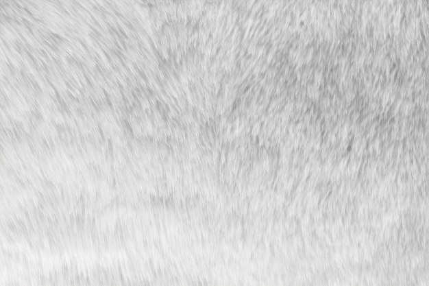 White fur fabric texture background