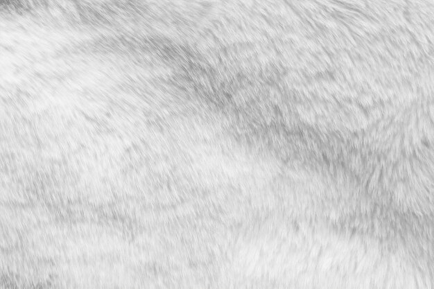 White fur fabric texture background