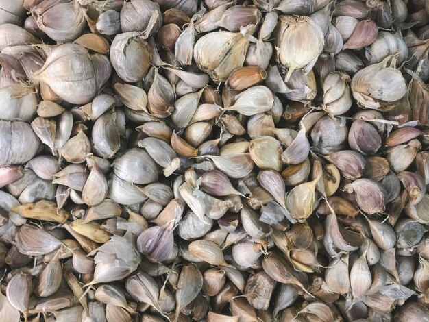 White garlic pile texture Fresh garlic on market table closeup photo