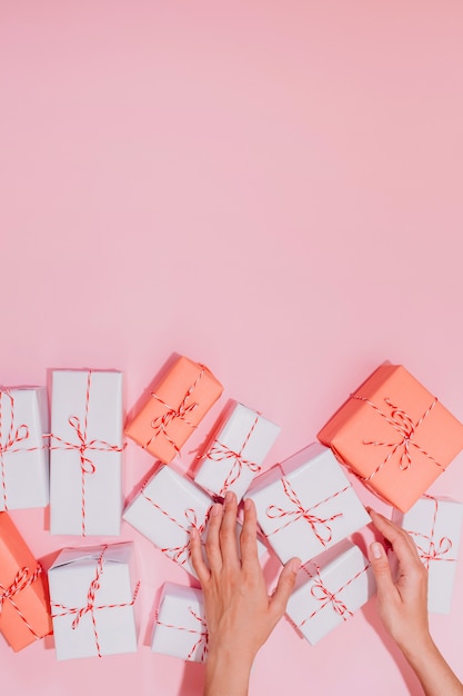 White gift boxes with red ribbon on a pink background, Women's hands hold a white box