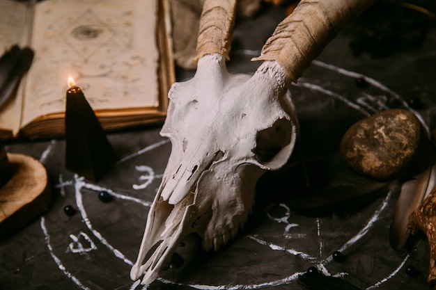 White goat scull with horns, open old book, black candles on witch table.