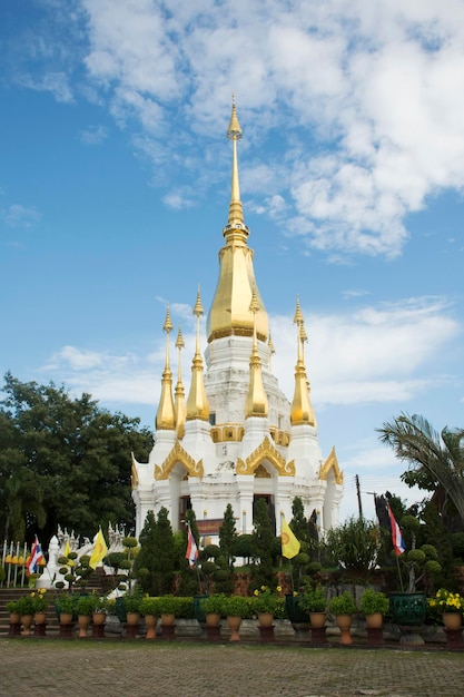 Wat Tham Khuha Sawan Temple Amphoe Khong Chiam Ubon Ratchathani Thailand의 흰색과 황금색 체디는 사람들이 기도하는 부처상을 방문하고 존경합니다.