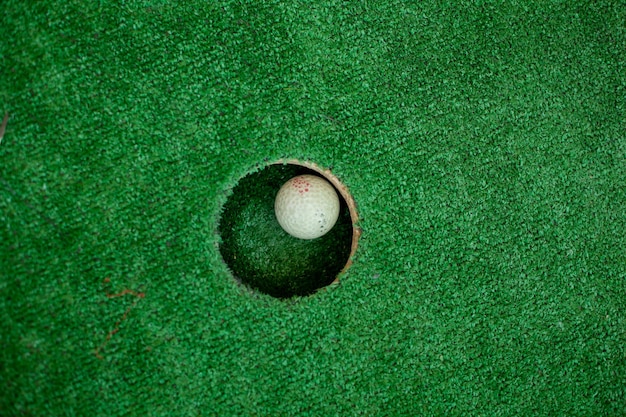 사진 구멍 근처에 있는 흰색 골프 공 구멍에 있는 골프 공