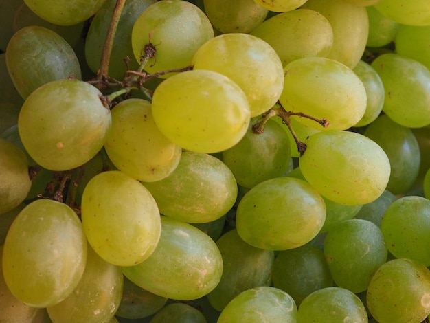 White grape fruit food