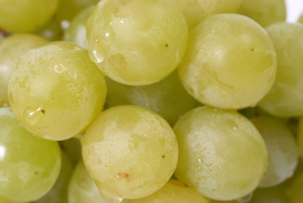 White grapes with water drops. Studio macro shot