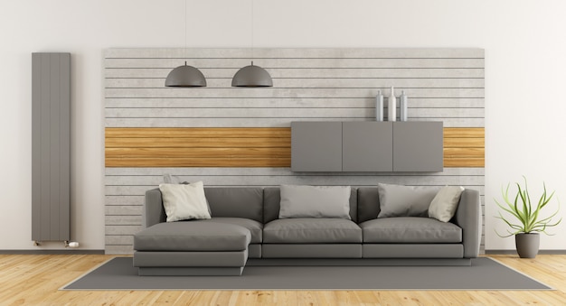 White and gray living room with a sofa