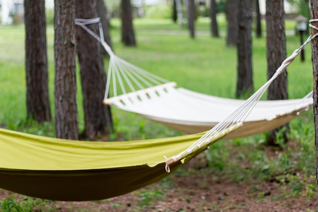 White and green hammock in garden closeup Empty hammock for relaxing