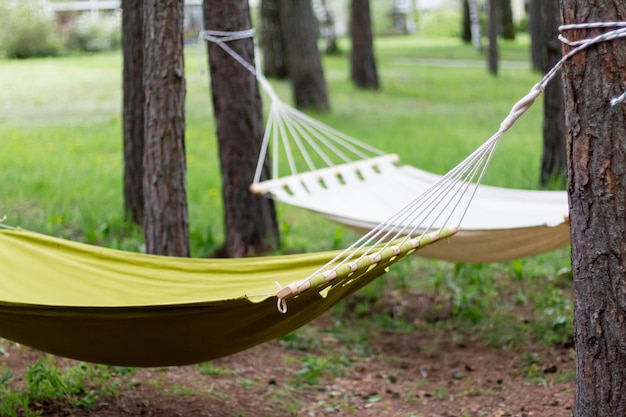 White and green hammock in garden closeup Empty hammock for relaxing