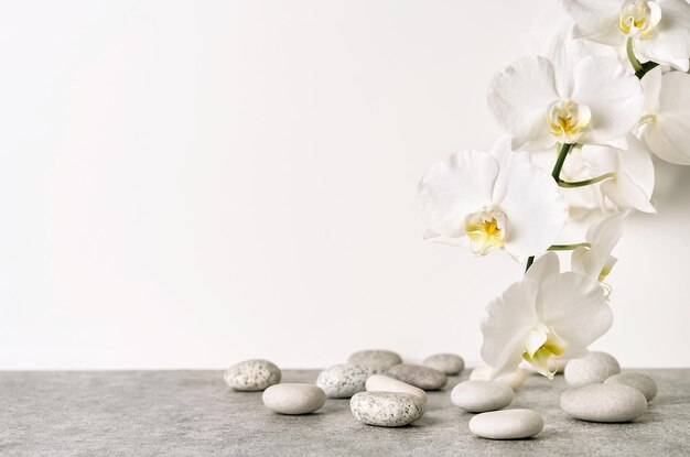 Photo white and grey textured stone podium with sea pebbles orchid flowers and plant shadow pattern