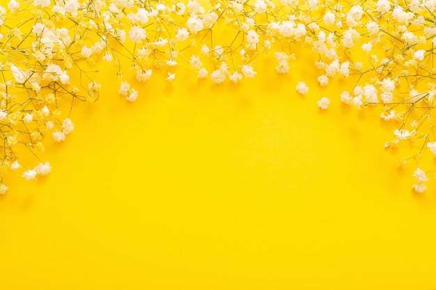 White gypsophila flowers on yellow background