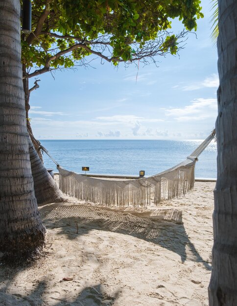 White hammock under palm trees at a tropical beach in thailand\
hua hin