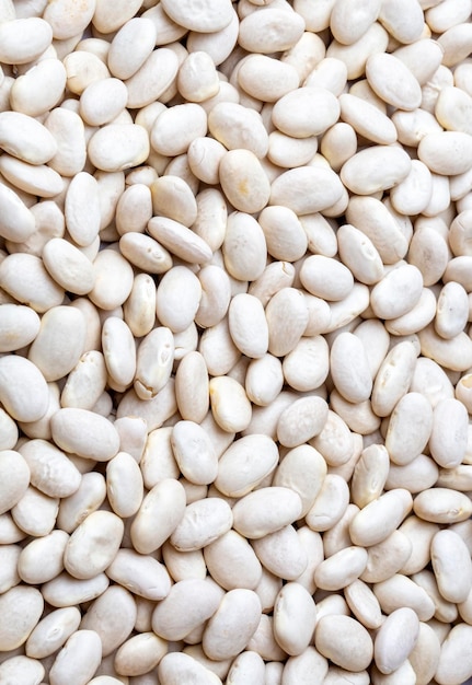 White haricot beans on the white background