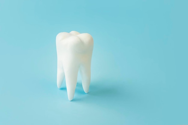 White healthy tooth on blue background copy space