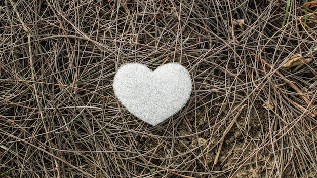 Foto a forma di cuore bianco su erba secca