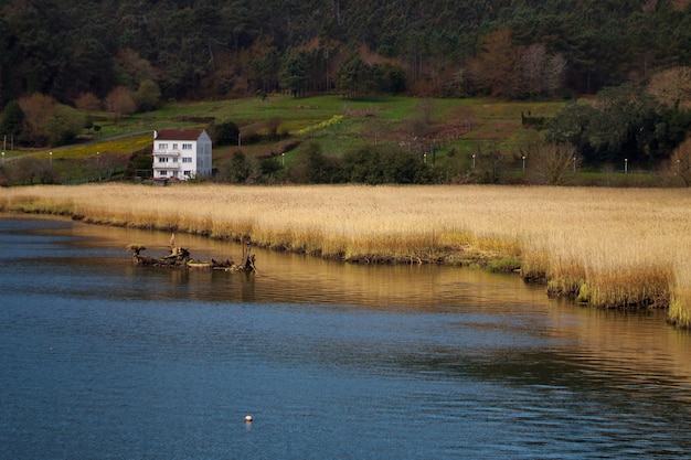 Foto casa bianca in riva al fiume, circondata da prati e canneti.