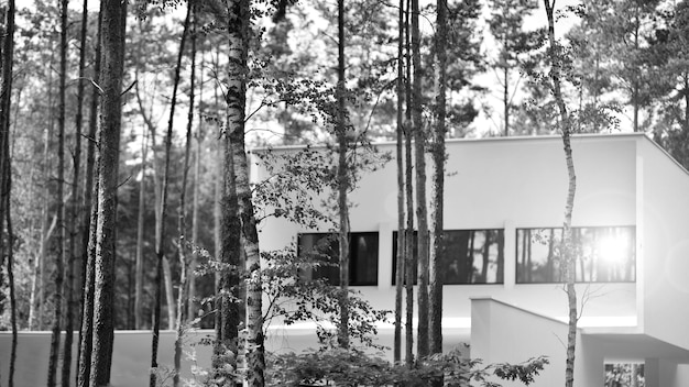 Photo a white house with a black and white picture of a tree and a house in the woods.